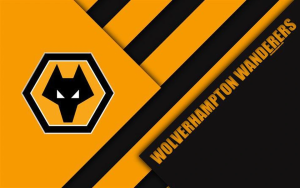 Giới thiệu câu lạc bộ Wolves – Những chú sói kiêu hãnh của bóng đá Anh